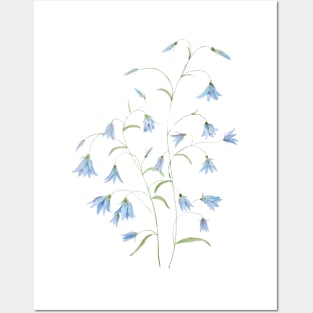 blue harebell flowers watercolor 2021 Posters and Art